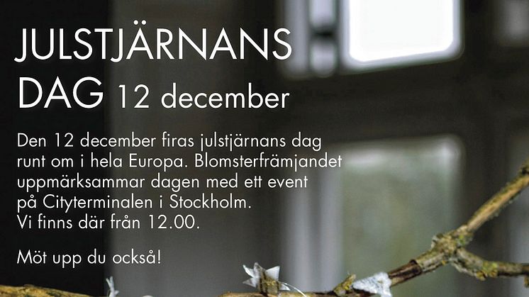 Fira julstjärnans dag med oss!