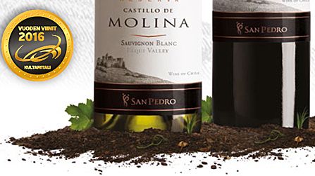 VUODEN VIINI 2016 ON CASTILLO DE MOLINA RESERVA SAUVIGNON BLANC 2015 