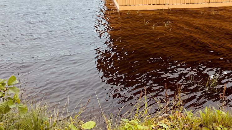 Vattennivån är hög vid kallbadhuset vid Måns Ols i Sala