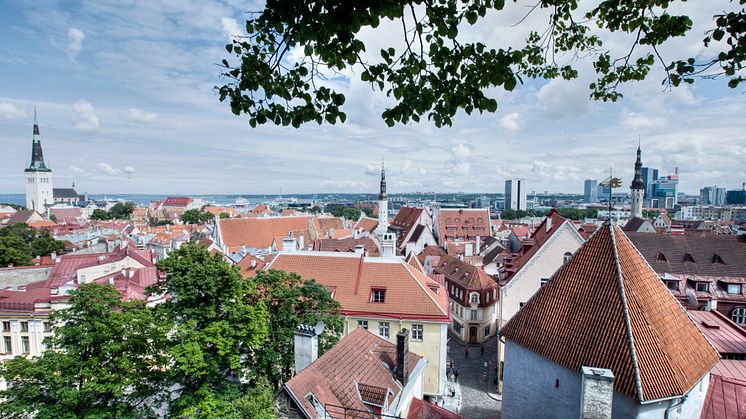 Panoramautsikt över gamla Tallinns stad från Kohtuotsa utkiksplats, Estland. Foto: Shutterstock.