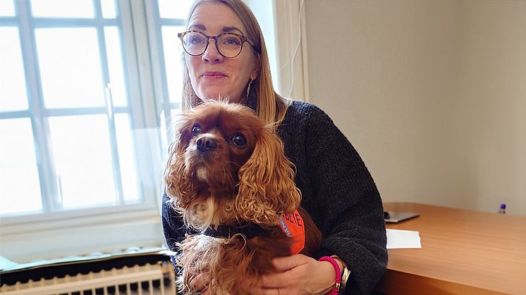 Pedagoghundsteamet på gymnasieenheten i Åkarp består av specialpedagog Åsa Johansson och hennes hund Sammi.