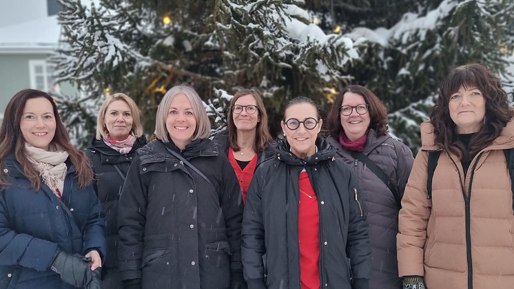 Arbetsgivare i Piteå samlas i unikt rekryteringsevent