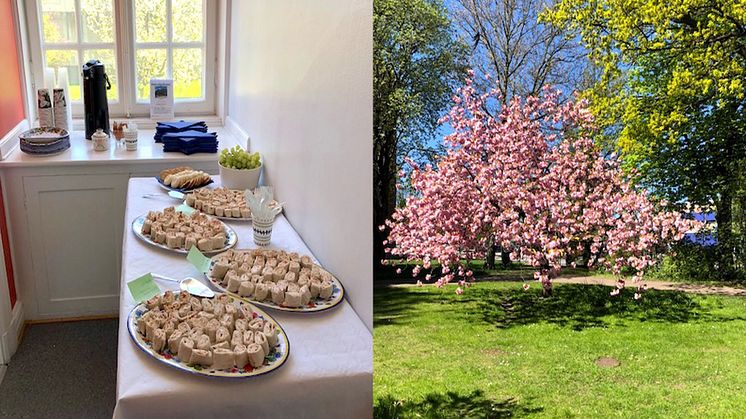 Öppet hus på halvvägshuset i Malmö 