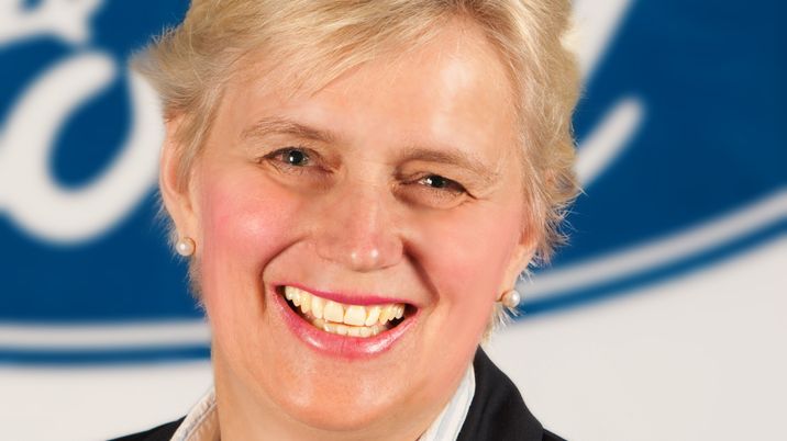 Anne Sønsteby, Informasjonsdirektør Ford Motor Norge AS