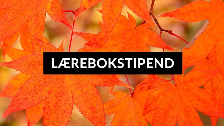 INSTAGRAM---Lærebokstipend-autumn-11.jpg