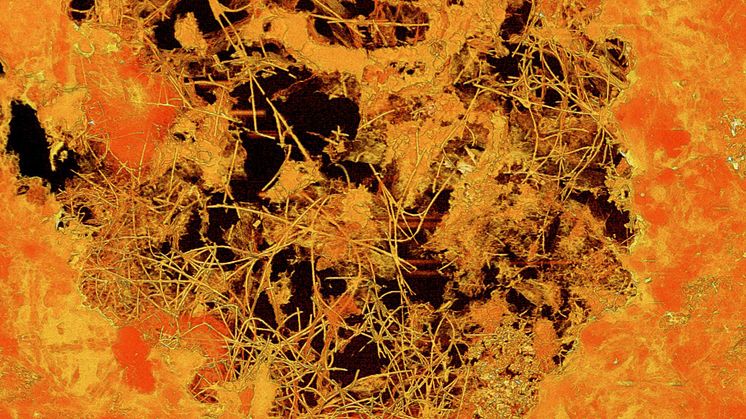 Svampliknande fossil från jordens ungdom. Röntgentomografisk avbildning av lavabubbla med mycelie-fossil. Bubblan är 0,8 mm i diameter. Bild Stefan Bengtson.