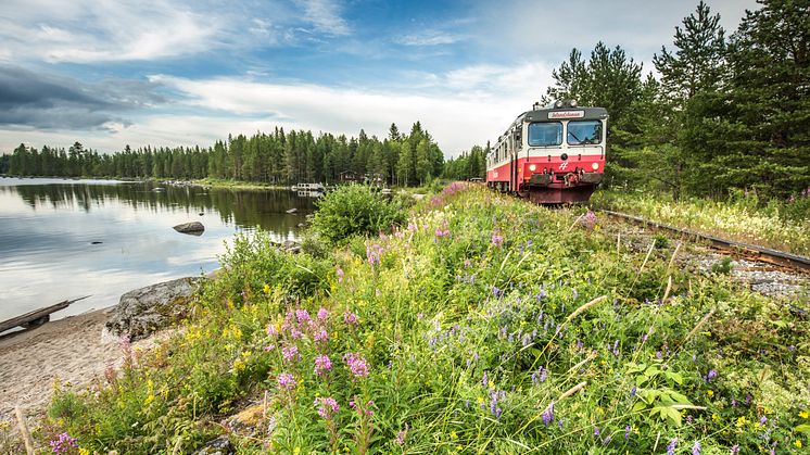 Inlandsbanan erbjuder tågresor sommar och vinter. Vi har flera spännande paket för dig som vill ha det enkelt och bekvämt. 