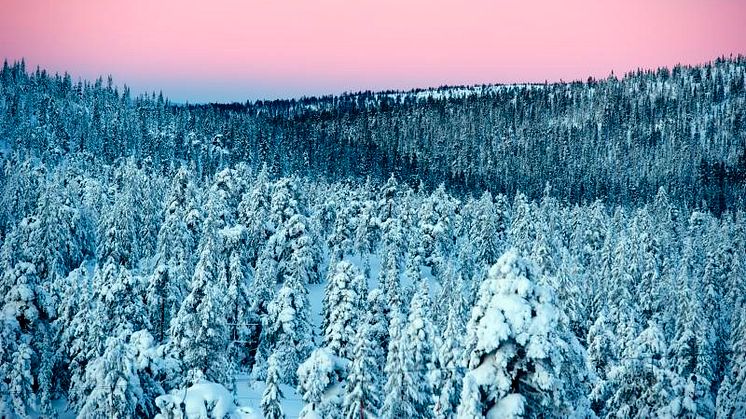 Vattentillgången håller ner elpriset när kylan kommer