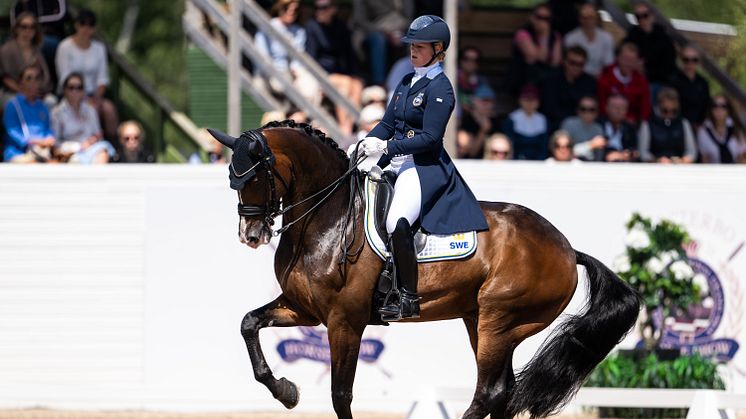 Malin Wahlkamp-Nilsson och Bergsjöholms Valbonne, som gör sin första internationella säsong, är ett av de ekipage som förbundskapten Bo Jenå tagit ut till EM i dressyr. Foto: Bildbyrån/Mathilda Ahlberg.