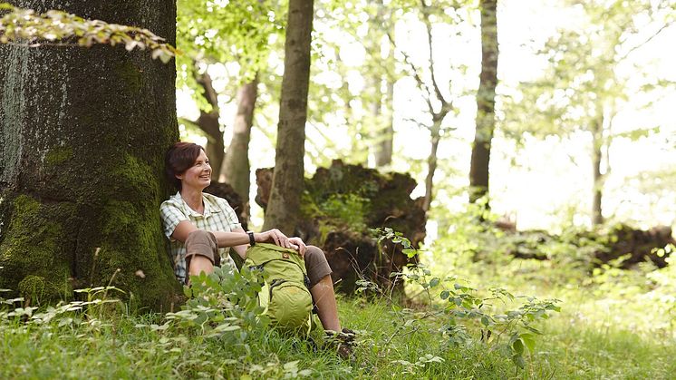 Wandern war auch zu Zeiten des Lockdowns 2020 im Weserbergland beliebt