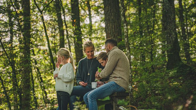 I naturreservatet Danska fall kan du njuta av en picknick med familj eller vänner. Foto: Per Nilsson.