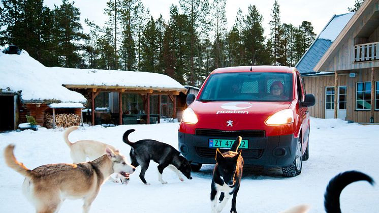 Friskt mot i mørketida