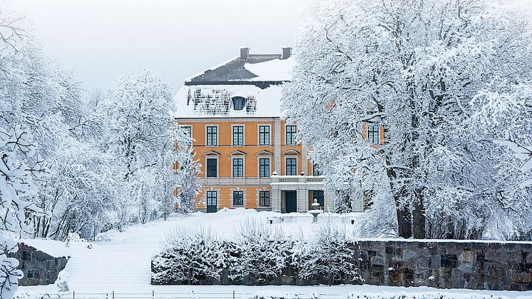 Nynäs slott.