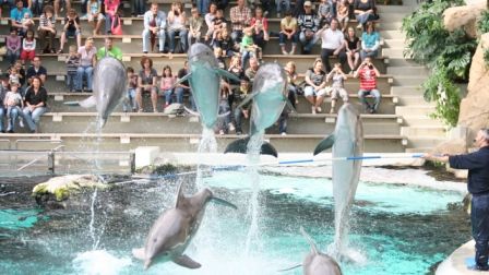Besucherzahlen im Zoo Duisburg weiterhin rückläufig - Vorstandsgehälter massiv gestiegen