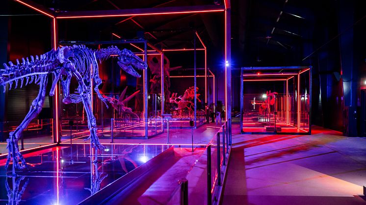 Evolutionsmuseet oplever forrygende start med stor international opmærksomhed