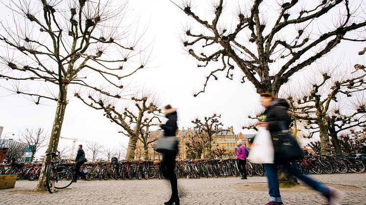 ​Lunds kommun och Finsam i Lund gör nu en gemensam storsatsning på riktade stödinsatser till de medborgare som står längst ifrån arbetsmarknaden.