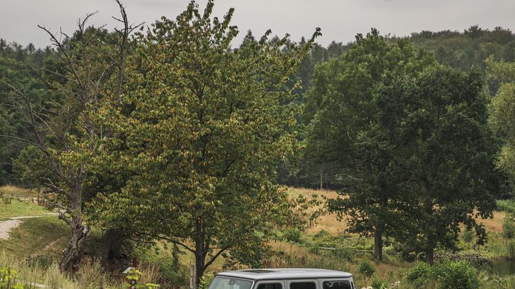 Mercedes-AMG G 63