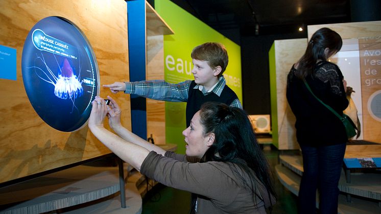 En djupdykning på Naturhistoriska riksmuseet