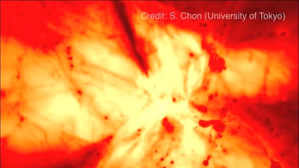 Filmklipp: Datorsimulering som visar universums återjonisering. 