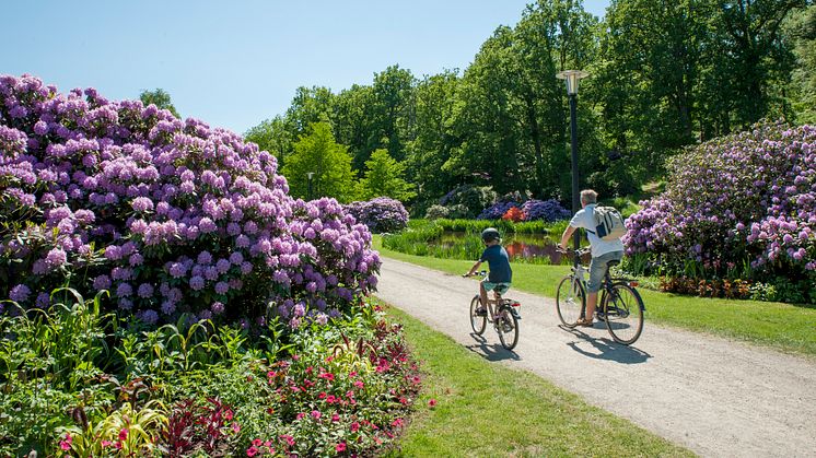 Nationaldagsfirande i Ronneby Brunnspark den 6 juni