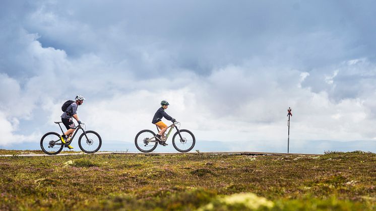 5 ställen för grym höstcykling