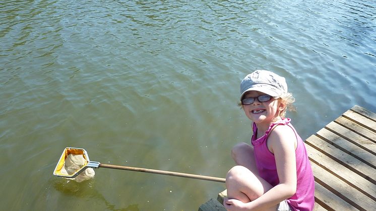 Pond Dipping at Redbank Lodges