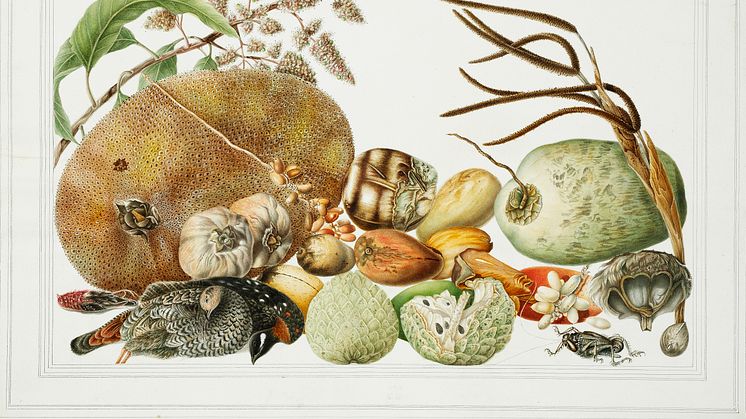 Stilleben med frugt, grøntsager og en fugl, ca. 1820.
