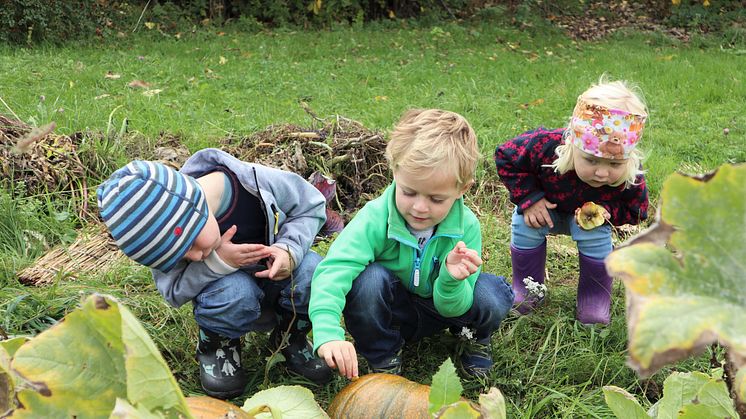 Økologisk Norge er på jakt etter skoler i Viken som vil etablere skolehager som læringsarena.