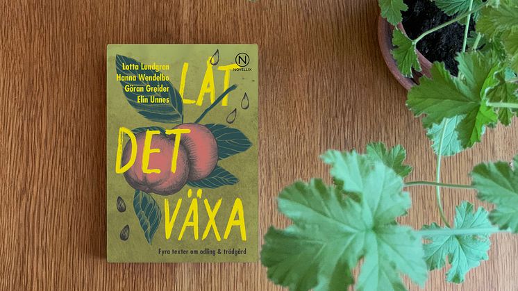 ”Låt det växa” är en dekorativ bok med texter om odling och trädgård