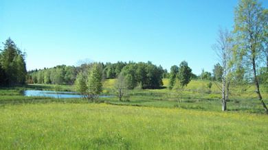 Invigning av naturreservatet Ramshytte ängar - Örebros nyaste naturreservat