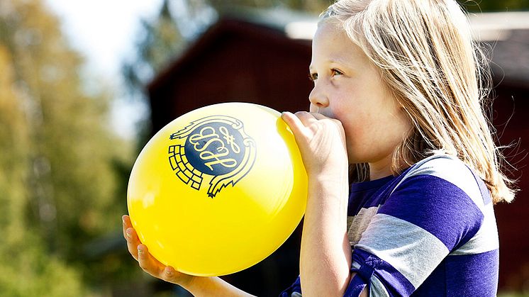 Charlottesborgsfestivalen – en dag för små och stora