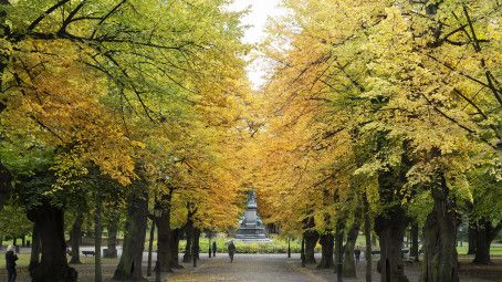 Arvid Nordquist Kafferosteri ”köper” Humlegården i Stockholm