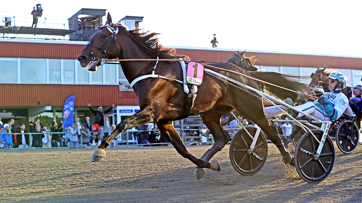 Hail Mary säkrade sin plats i STL Open i lördags när han vann E.J.'s Guldsko på Hagmyren med Örjan Kihlström i sulkyn. Foto: TR Bild