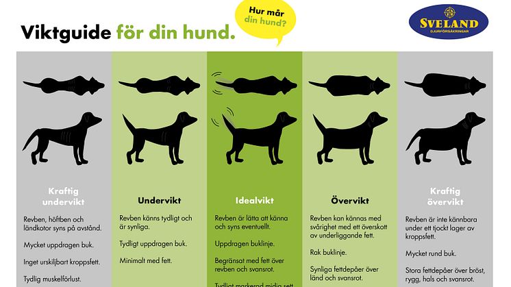 Svelands hundviktsguide