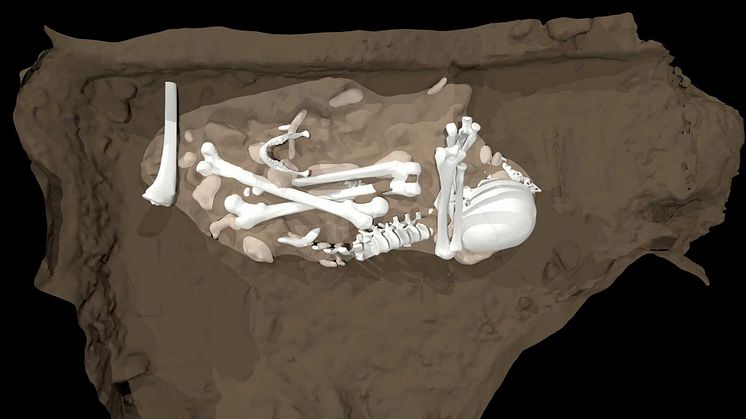 Artist’s reconstruction of the burial of an adult Homo naledi found in the Dinaledi Chamber (credit Berger et al., 2023)