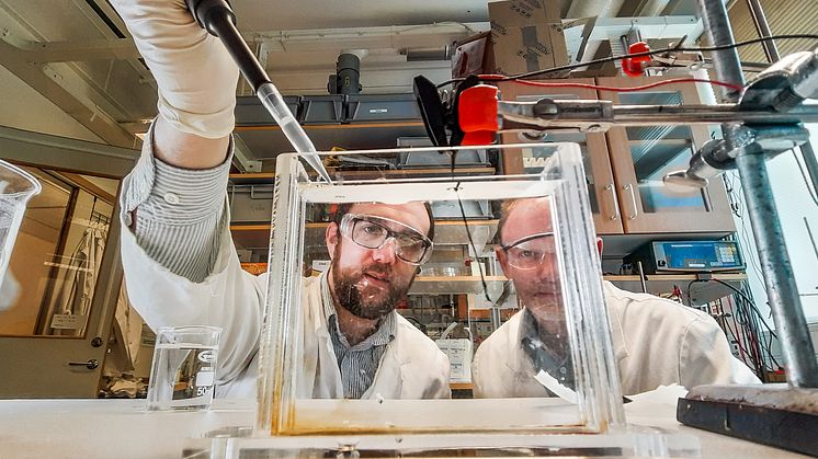 Forskare vid Linköpings universitet har demonstrerat att konstgjorda muskler av polymermaterial kan drivas med energi från glukos och syre på liknande sätt som biologiska muskler. Foto: Thor Balkhed/Linköpings universitet