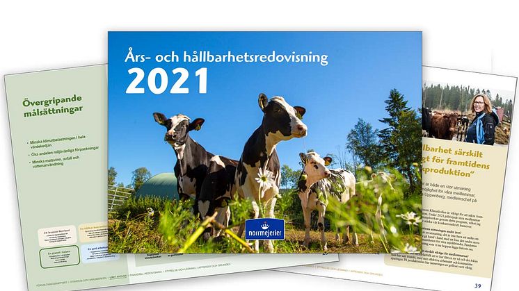 Årsredovisning 2021 webb 2.jpg