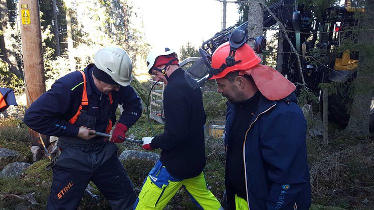 De förbereder elnätet inför höststormarna