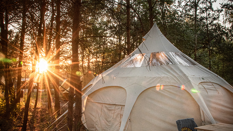  Eine ganz besondere Glamping-Auszeit kann man im Lausitzer Seenland erleben am Gräbendorfer See. Foto: Gesellschaft für Premiumcamping mbH. 