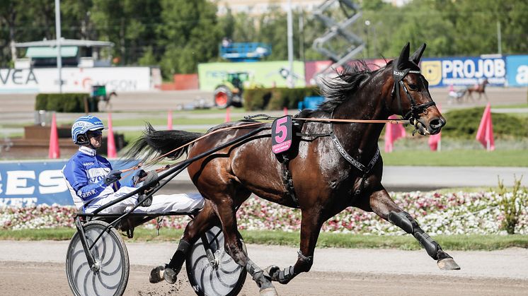 Hickothepooh tar plats i Åbergs. Foto: Lena Emmoth/TR Bild.