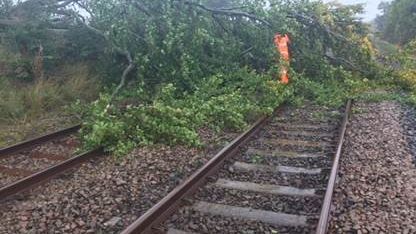 Example of a tree on the line