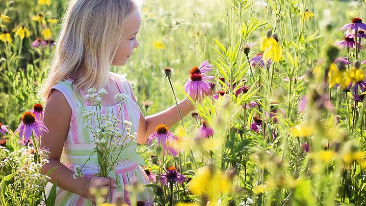 Glad Midsommar