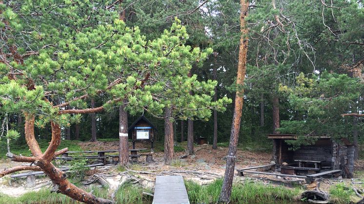 Borlängeborna, som har närmast till skyddad natur i Dalarna, kan bland annat besöka kommunala naturreservatet Tyskö-Prästö-Nästö som ligger i Runn. Foto: Borlänge kommun