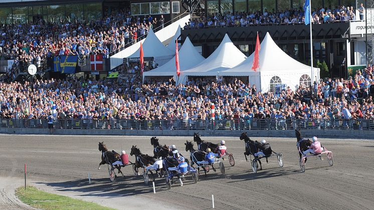 Elitloppet: Publiken ökade och näst högsta omsättningen någonsin