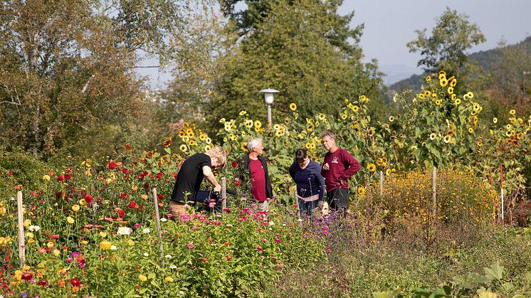 Living Farms Goetheanum Gartenpark Garden Park Blumen Flowers_Jasmin Peschke