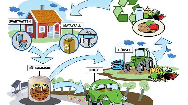 Svartvatten och matavfall återanvänds som biogas och växtnäring i ett kretslopp