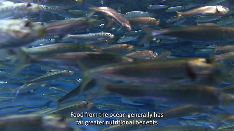 "Blue foods" eli sininen ruoka -  kestävän kalastuksen rooli kasvavan väestön ruokkimisessa