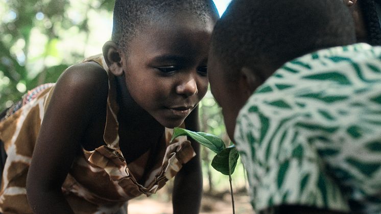 Frida och Eliezel Ochieng planterar nya träd på gården i Kayagogo, Kenya. 