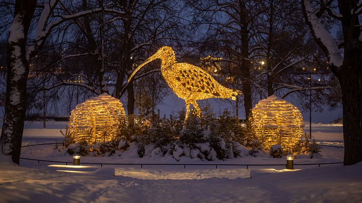 Storspoven i Rådhusparken blir en del av årets Höstljus. Foto: Fredrik Larsson