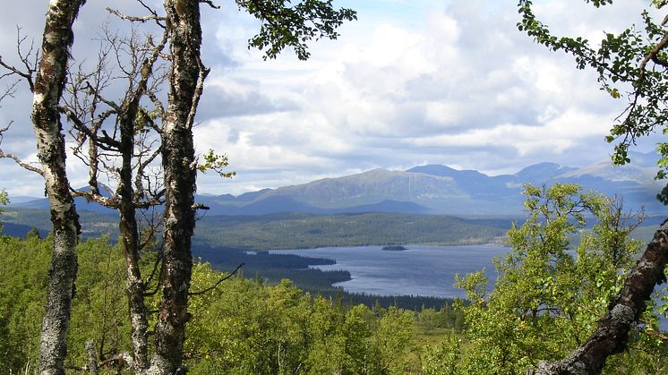 Bild från Malgomaj, Vilhelmina. Fotograf: Mikael Strömberg